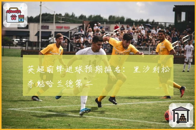 英超前锋进球预期排名：里沙利松夺魁哈兰德第二