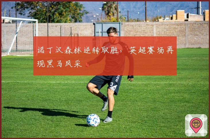 诺丁汉森林逆转取胜,英超赛场再现黑马风采