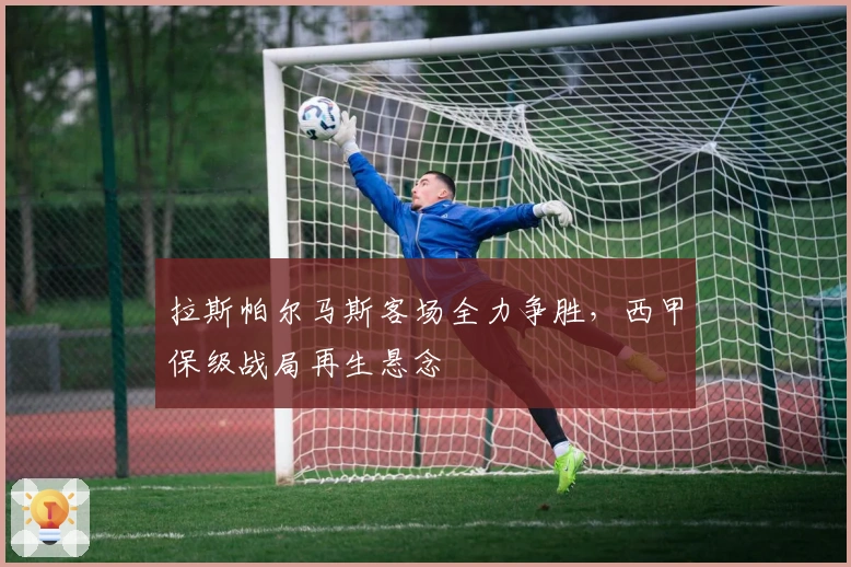 拉斯帕尔马斯客场全力争胜,西甲保级战局再生悬念